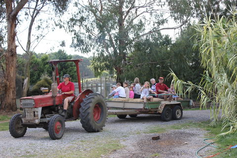 Rain Hayne And Shine Farmyard - Port Augusta Accommodation 1