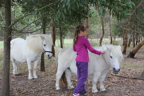 Rain Hayne And Shine Farmyard - Port Augusta Accommodation 2