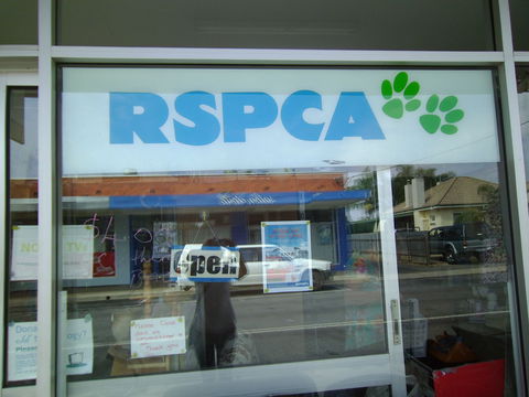 R.S.P.C.A Opportunity Shop - Port Augusta Accommodation 0