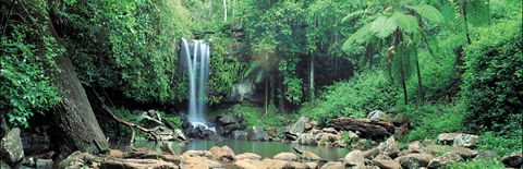 Tamborine National Park - Port Augusta Accommodation 0