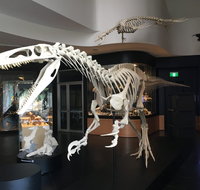 UNE Natural History Museum - Port Augusta Accommodation