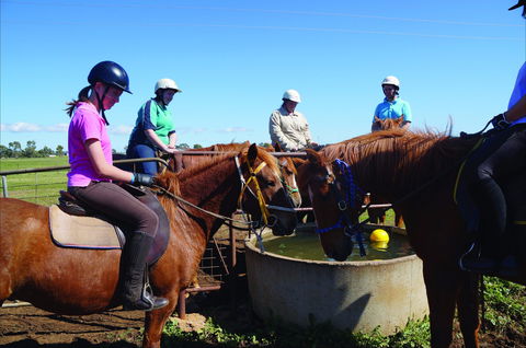 Western Plains Riding Centre - Open - Port Augusta Accommodation 0