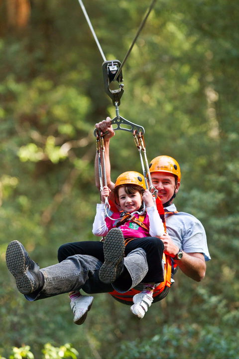 Zipline At Illawarra Fly - Port Augusta Accommodation 0