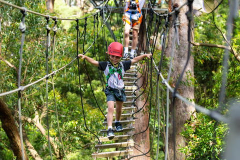 Zipline At Illawarra Fly - Port Augusta Accommodation 1