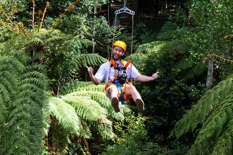 Zipline At Illawarra Fly - Port Augusta Accommodation 2