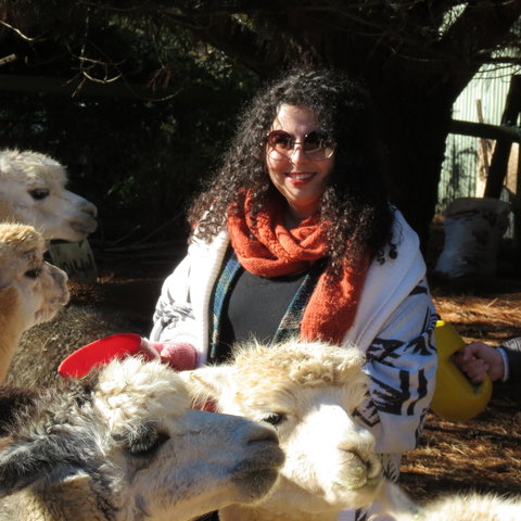 Alpaca Farm Experience At Crookwell - Port Augusta Accommodation 1