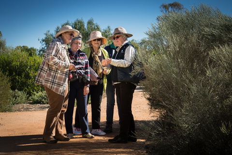 Australian Arid Lands Botanic Garden - Port Augusta Accommodation 2