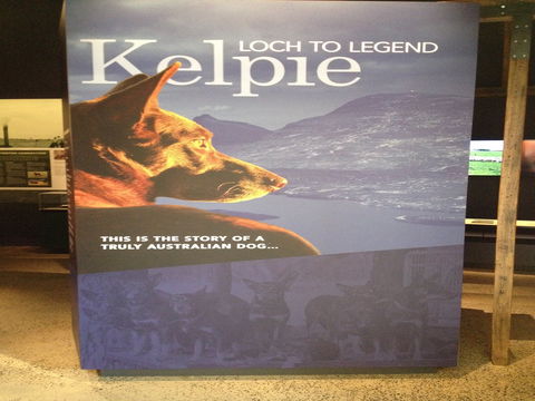 Australian Kelpie Centre - Port Augusta Accommodation 1