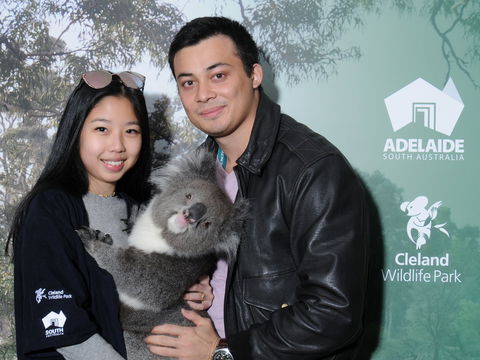 Cleland Wildlife Park - Koala Hold - Port Augusta Accommodation 0