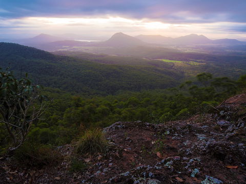 Cunninghams Gap And Spicers Gap, Main Range National Park - Port Augusta Accommodation 0