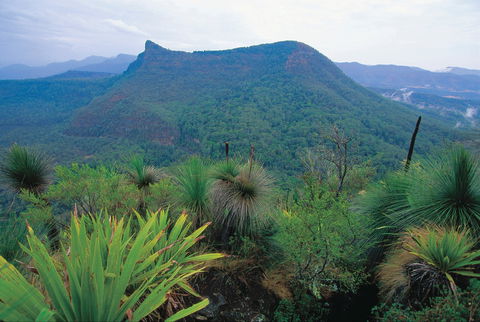 Cunninghams Gap And Spicers Gap, Main Range National Park - Port Augusta Accommodation 1