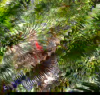 Depot Beach Rainforest Walk - Port Augusta Accommodation