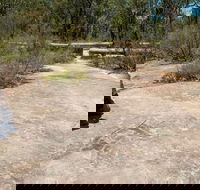 Finchley Cultural Walk - Port Augusta Accommodation