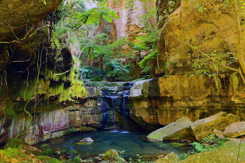 Glimpse Of The Outback 5 Day Tour - Roma And Surrounds - Port Augusta Accommodation 0