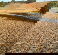 Gunning Golf Club - Port Augusta Accommodation
