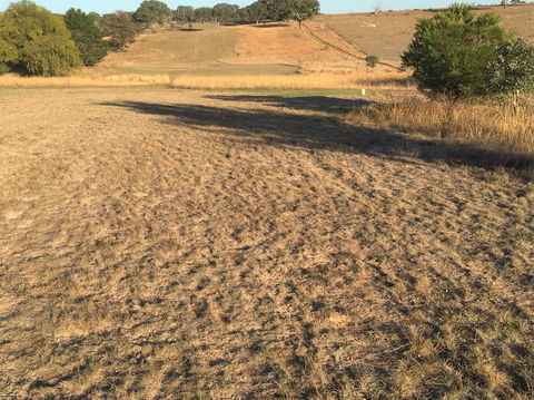 Gunning Golf Club - Port Augusta Accommodation 0