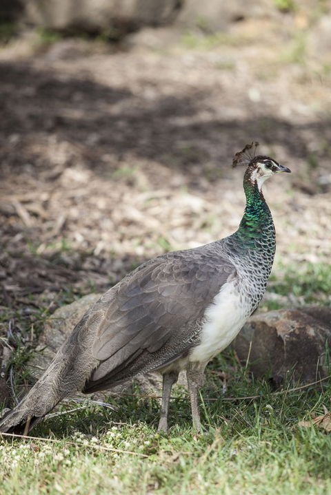 Kinchant Dam - Port Augusta Accommodation 1