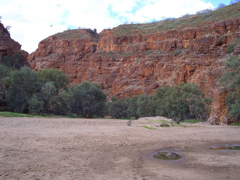 Ruby Gap Nature Park - Port Augusta Accommodation 1
