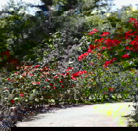 Benalla Botanical Gardens - Port Augusta Accommodation
