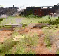 Ghans Bore No7 Govt Bore - Port Augusta Accommodation