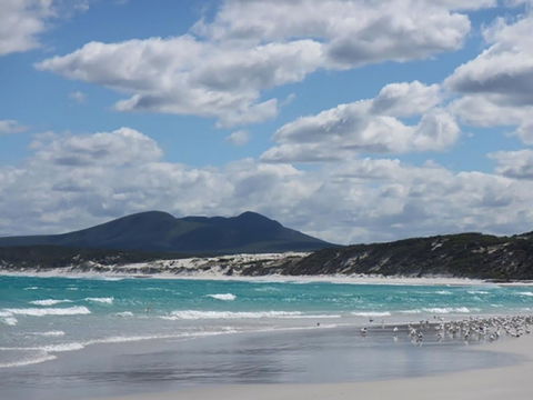 Hakea Walk Trail, East Fitzgerald National Park - Port Augusta Accommodation 0
