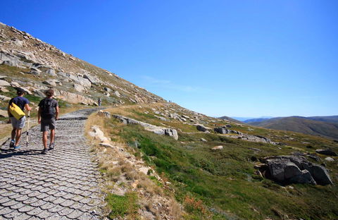 Kosciuszko Walk - Thredbo To Mount Kosciuszko - Port Augusta Accommodation 0