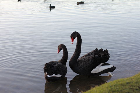 Lake Weeroona - Port Augusta Accommodation 1