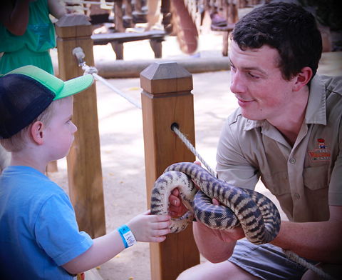 Macadamia Castle - Port Augusta Accommodation 1