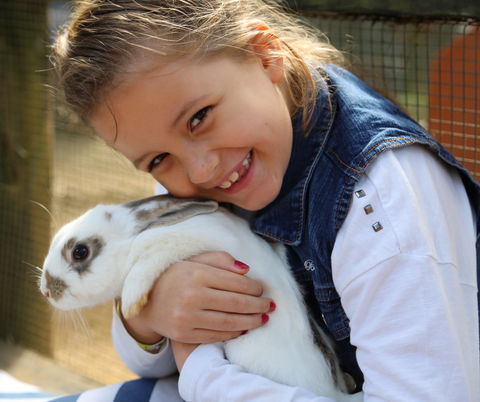 Macadamia Castle - Port Augusta Accommodation 2