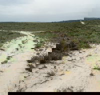 Ngarkat Conservation Park - Port Augusta Accommodation