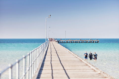 Rye Bay Trial - Port Augusta Accommodation 1