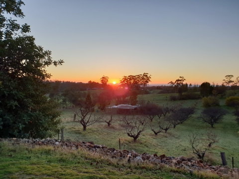 Taralee Orchards - Port Augusta Accommodation 1