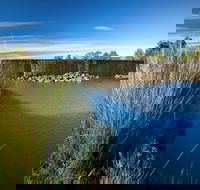 Weir View walking track - Port Augusta Accommodation