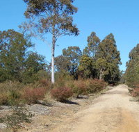 Werakata National Park - Port Augusta Accommodation