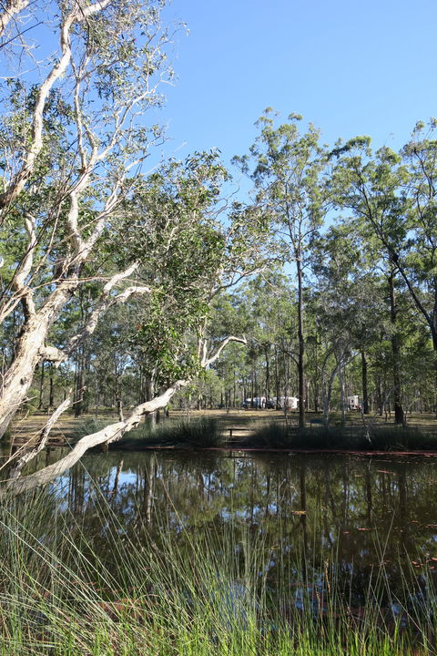 Wongi State Forest - Port Augusta Accommodation 0