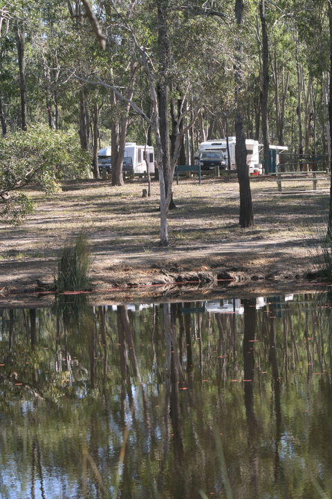 Wongi State Forest - Port Augusta Accommodation 1