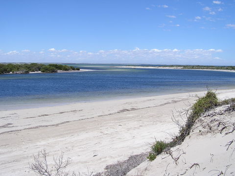 Acraman Creek Conservation Park - Port Augusta Accommodation 0