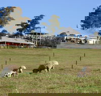 Calmsley Hill City Farm - Port Augusta Accommodation