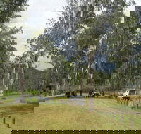 Chaelundi National Park - Port Augusta Accommodation