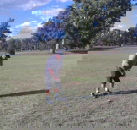 Inverell Golf Club - Port Augusta Accommodation