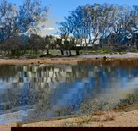 Lake King Wetlands at Rutherglen - Port Augusta Accommodation
