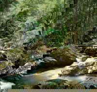 Maleny