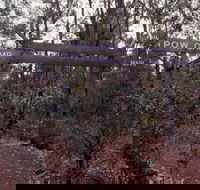 Marrinup Trail Dwellingup - Port Augusta Accommodation