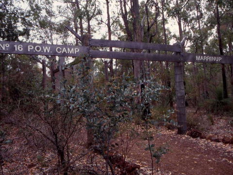 Marrinup Trail, Dwellingup - Port Augusta Accommodation 0
