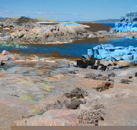 Nanarup Beach - Port Augusta Accommodation