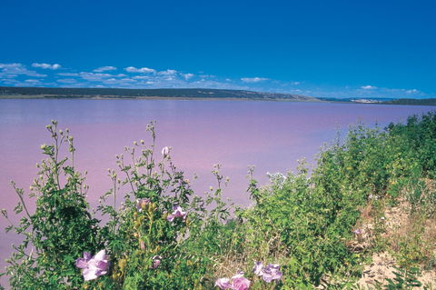 Port Gregory - Port Augusta Accommodation 0