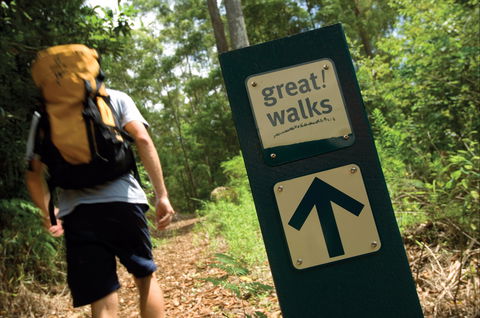Sunshine Coast Hinterland Great Walk - Port Augusta Accommodation 0