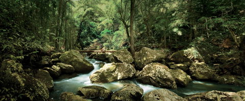 Sunshine Coast Hinterland Great Walk - Port Augusta Accommodation 1
