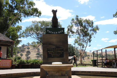 The Dog On The Tucker Box - Port Augusta Accommodation 2