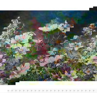 The Homestead Gallery - Port Augusta Accommodation